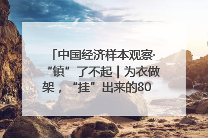 中国经济样本观察·“镇”了不起｜为衣做架，“挂”出来的80亿元“衣架产业”