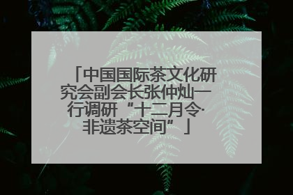 中国国际茶文化研究会副会长张仲灿一行调研“十二月令·非遗茶空间”
