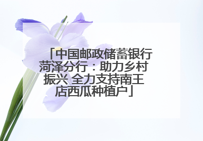 中国邮政储蓄银行菏泽分行：助力乡村振兴 全力支持南王店西瓜种植户