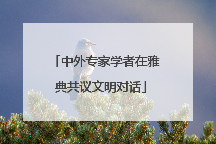 中外专家学者在雅典共议文明对话