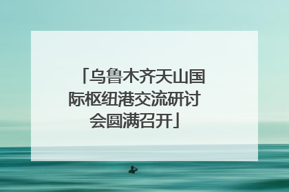 乌鲁木齐天山国际枢纽港交流研讨会圆满召开