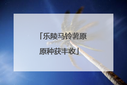 乐陵马铃薯原原种获丰收