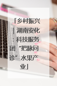 乡村振兴｜湖南安化：科技服务团“把脉问诊”水果产业
