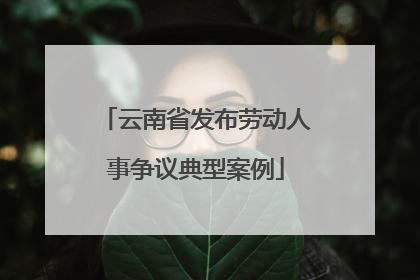 云南省发布劳动人事争议典型案例