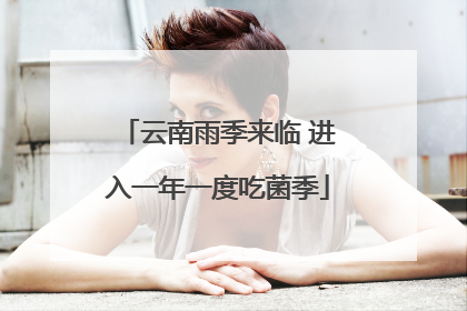云南雨季来临 进入一年一度吃菌季