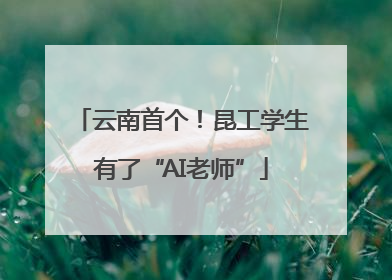 云南首个！昆工学生有了“AI老师”