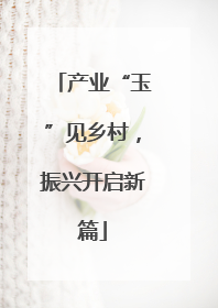 产业“玉”见乡村，振兴开启新篇