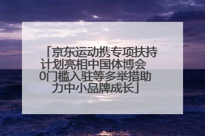 京东运动携专项扶持计划亮相中国体博会 0门槛入驻等多举措助力中小品牌成长
