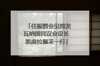 任振鹤会见博茨瓦纳国民议会议长凯奥拉佩采一行
