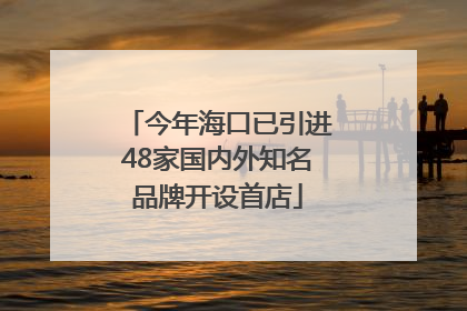 今年海口已引进48家国内外知名品牌开设首店