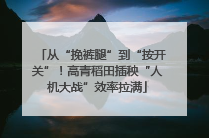 从“挽裤腿”到“按开关”！高青稻田插秧“人机大战”效率拉满
