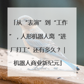 从“表演”到“工作”，人形机器人离“进厂打工”还有多久？｜机器人商业新纪元
