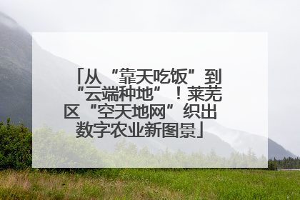 从“靠天吃饭”到“云端种地”！莱芜区“空天地网”织出数字农业新图景
