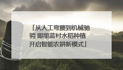 从人工弯腰到机械驰骋 即墨蓝村水稻种植开启智能农耕新模式