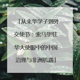 从来华学子到外交使节：索马里驻华大使眼中的中国治理与非洲机遇