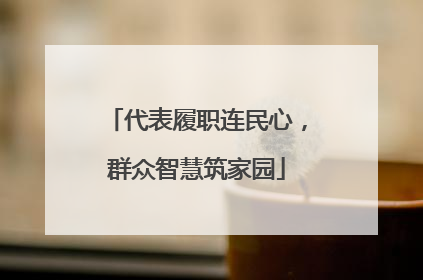 代表履职连民心，群众智慧筑家园