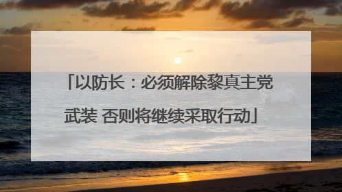 以防长：必须解除黎真主党武装 否则将继续采取行动