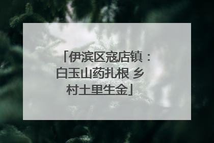 伊滨区寇店镇：白玉山药扎根 乡村土里生金