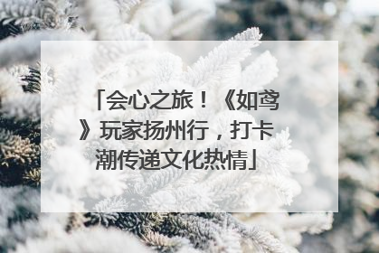 会心之旅！《如鸢》玩家扬州行，打卡潮传递文化热情