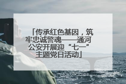 传承红色基因，筑牢忠诚警魂——通河公安开展迎“七一”主题党日活动
