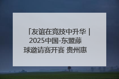 友谊在竞技中升华｜2025中国-东盟藤球邀请赛开赛 贵州惠水燃动“空中芭蕾”