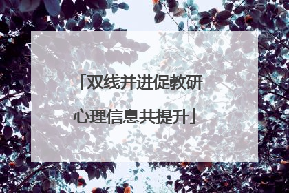 双线并进促教研 心理信息共提升