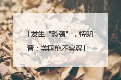 发生“恐袭”，特朗普：美国绝不容忍