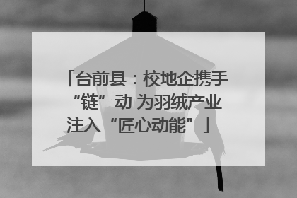 台前县：校地企携手“链”动 为羽绒产业注入“匠心动能”