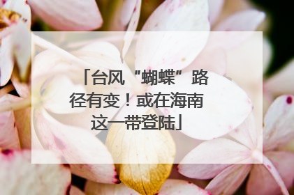 台风“蝴蝶”路径有变！或在海南这一带登陆
