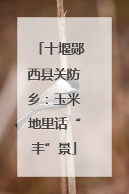 十堰郧西县关防乡：玉米地里话“丰”景