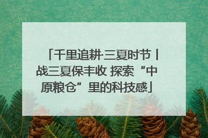 千里追耕·三夏时节丨战三夏保丰收 探索“中原粮仓”里的科技感