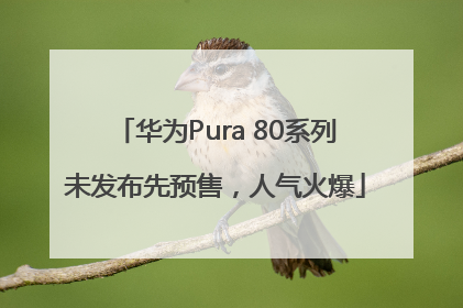 华为Pura 80系列未发布先预售，人气火爆