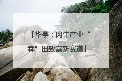 华亭：肉牛产业“犇”出致富新赛道