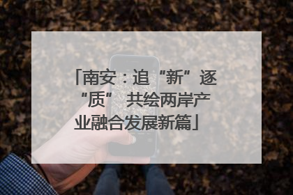 南安：追“新”逐“质” 共绘两岸产业融合发展新篇