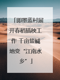 即墨蓝村展开春稻插秧工作 千亩盐碱地变“江南水乡”