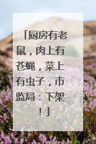 厨房有老鼠，肉上有苍蝇，菜上有虫子，市监局：下架！