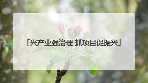 兴产业强治理 抓项目促振兴