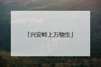 兴安岭上万物生
