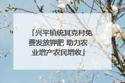 兴平镇统其克村免费发放钾肥 助力农业增产农民增收