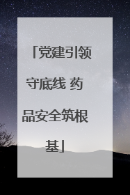 党建引领守底线 药品安全筑根基