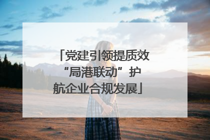 党建引领提质效 “局港联动”护航企业合规发展