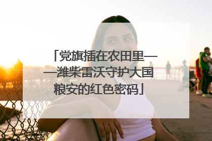党旗插在农田里——潍柴雷沃守护大国粮安的红色密码