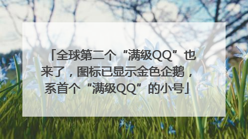 全球第二个“满级QQ”也来了，图标已显示金色企鹅，系首个“满级QQ”的小号