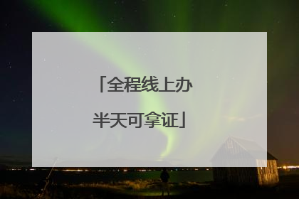 全程线上办 半天可拿证