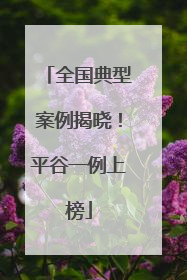全国典型案例揭晓！平谷一例上榜