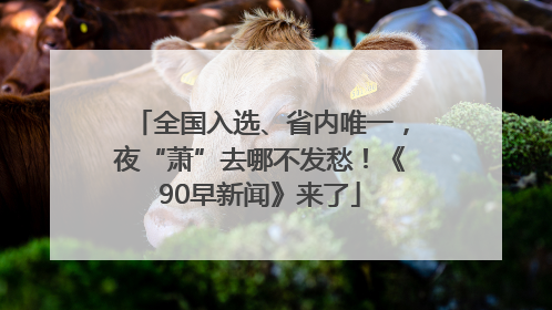 全国入选、省内唯一，夜“萧”去哪不发愁！《90早新闻》来了