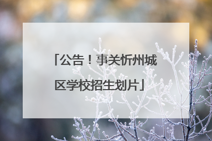 公告！事关忻州城区学校招生划片
