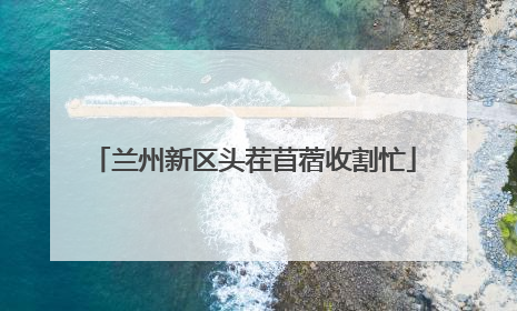 兰州新区头茬苜蓿收割忙