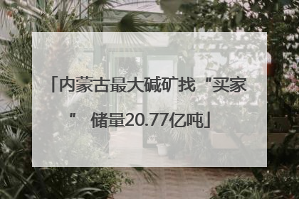 内蒙古最大碱矿找“买家” 储量20.77亿吨
