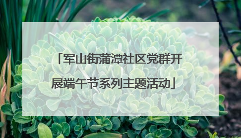军山街蒲潭社区党群开展端午节系列主题活动